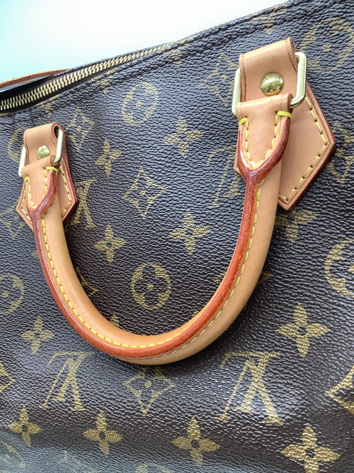 Louis Vuitton Monogram Print Speedy 30