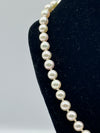 Single Row Pearl Necklace
