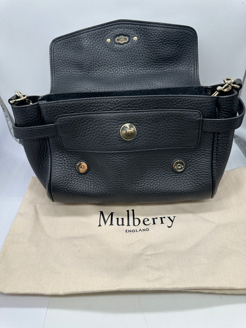 Mulberry Mini Alexa Bag