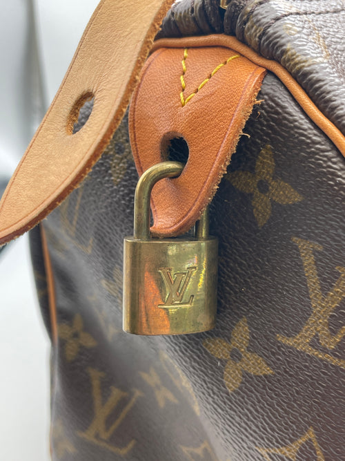 Louis Vuitton Speedy 30 Ladies Handbag