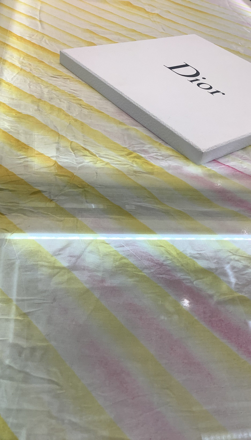 Christian Dior Pashmina Scarf