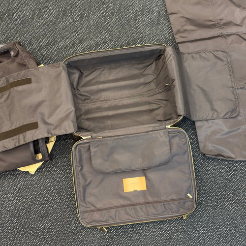 Louis Vuitton Pégase 55 suitcase