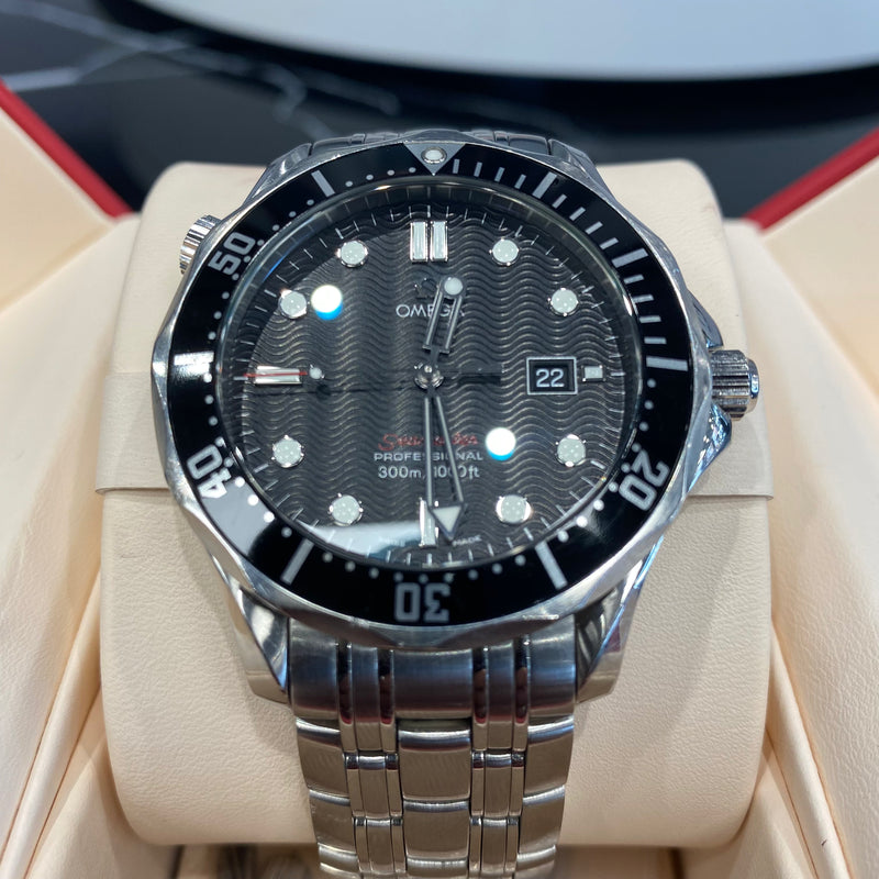 Omega Seamaster 2009
